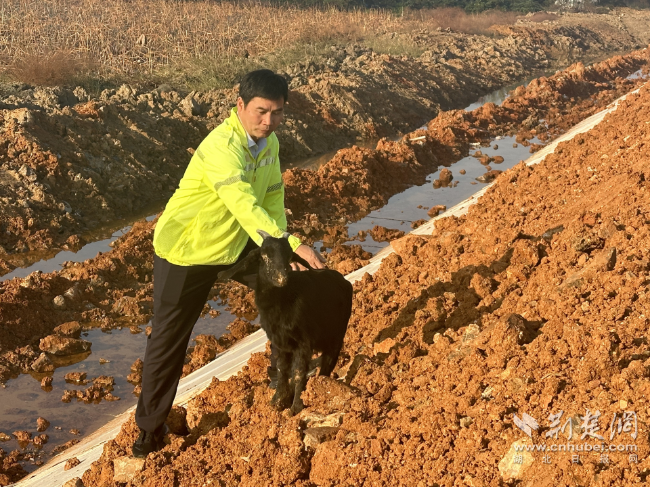 d7a969648c79e86bed9fe4a0ae91f266_650X487_20251122123431