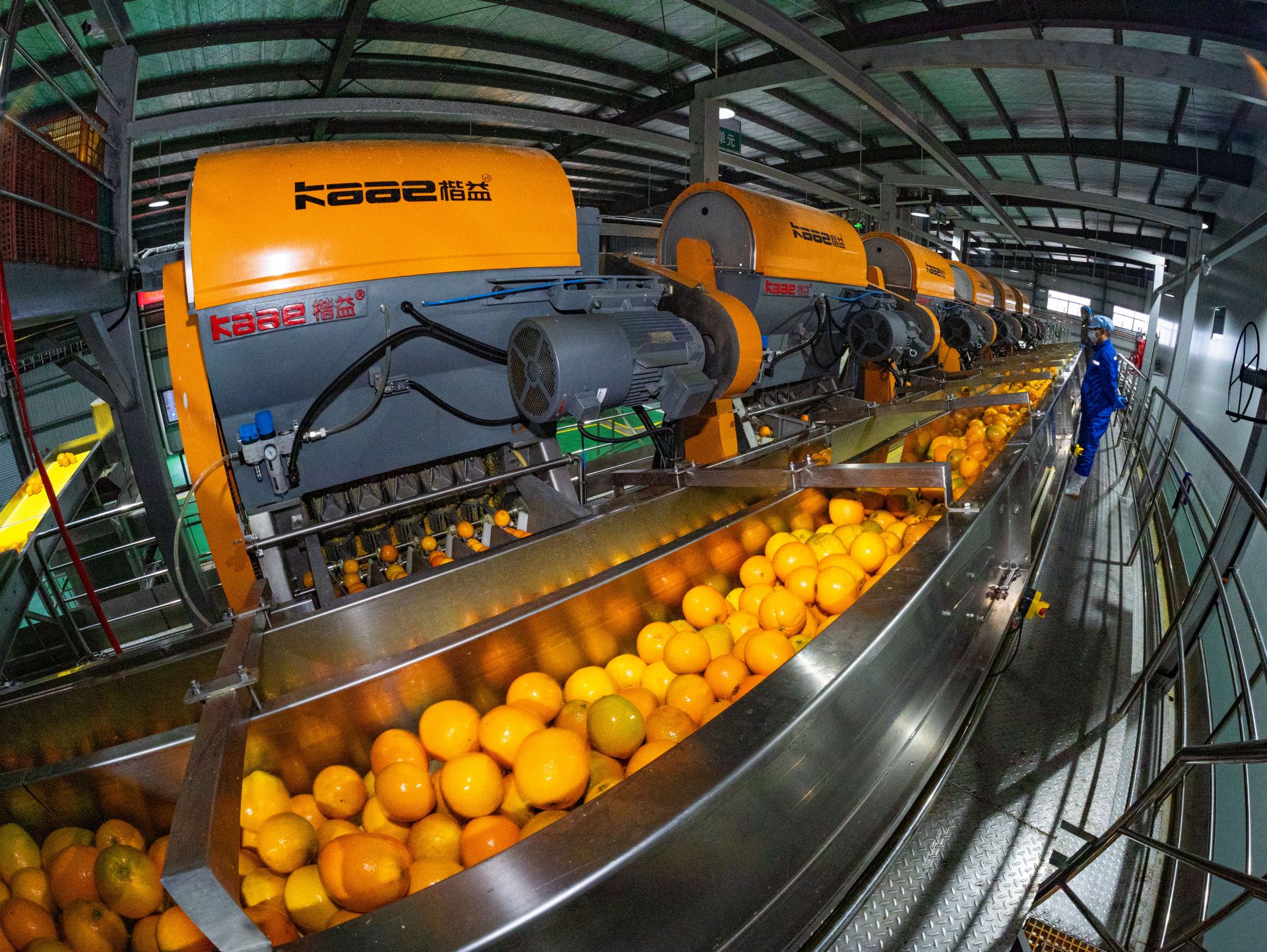 2025年11月24日，宜昌市果乐迪食品有限公司NFC（鲜榨橙汁）果汁、FC（浓缩橙汁）果汁生产线正在运行生产。 (1).jpg