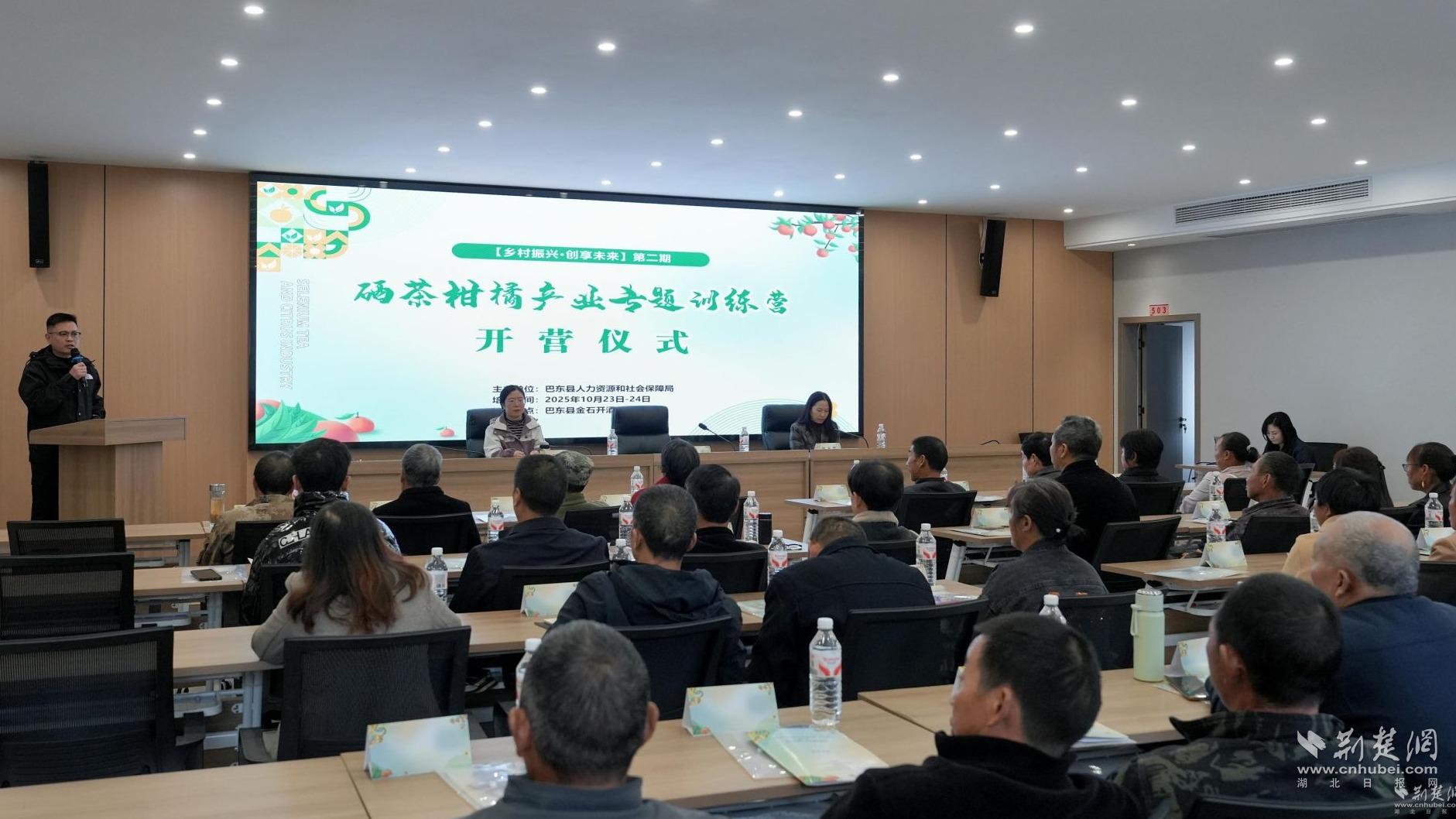 0d8642bb37428bce133d1bdf7fd34ac4_1881X1058_20251025215715