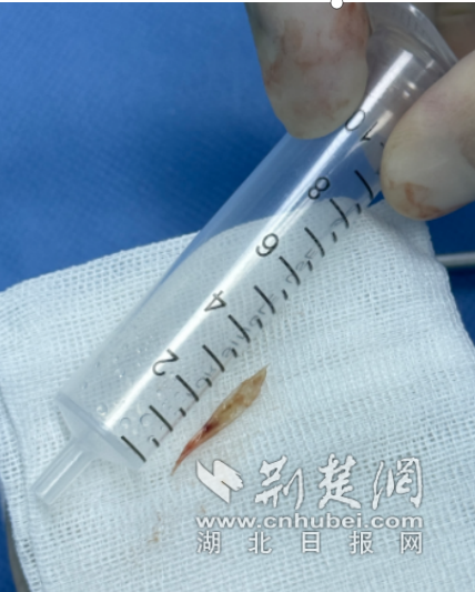 wechat_2025-10-01_175004_072_副本.png.png