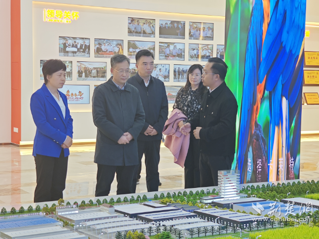 daaa6373a13d1bfc7e33991208e82106_650X487_20251102160445