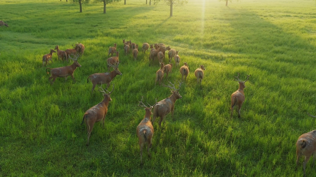 640?wx_fmt=png from=appmsg wxfrom=5 wx_lazy=1#imgIndex=0